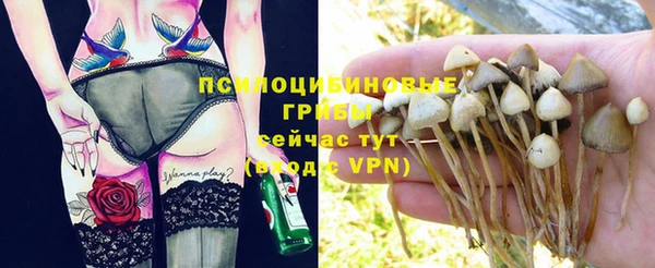 спайс Абаза