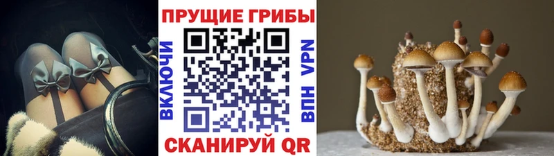 Галлюциногенные грибы мицелий  ссылка на мегу ТОР  Дальнереченск 